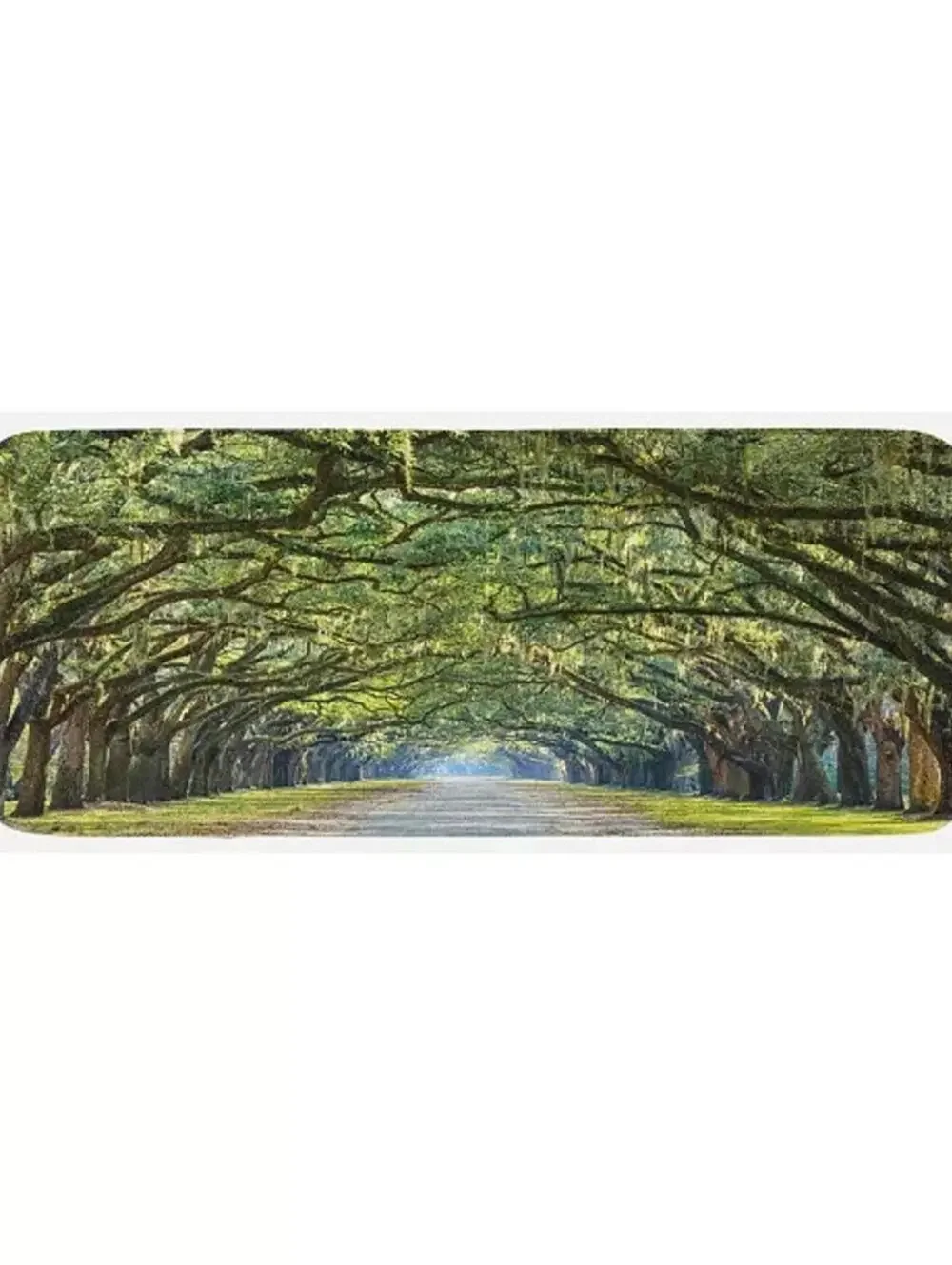AMBESONNE Forest Kitchen Floor Mat, New with No Tags